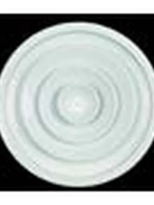 Producto Difusores circulares alta inducción Imagen